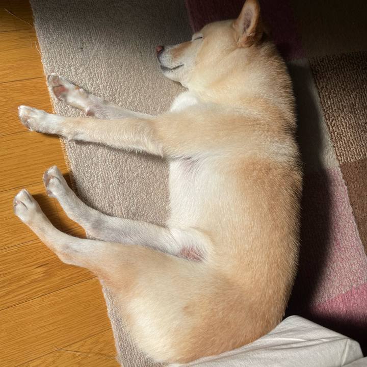 Caa13ea2 e0d4 4018 9d1c 51213e858e23 1668650817966