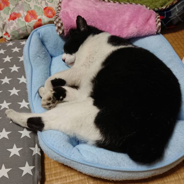 Caa15d26 b836 4743 a0ea d3d972b3f818 1526482063617