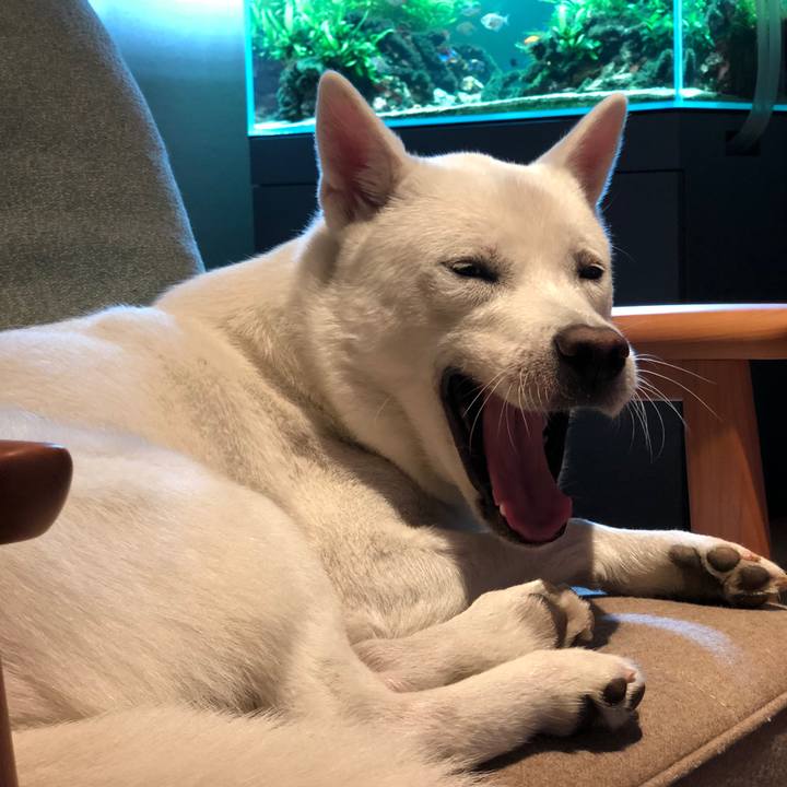 Caa16d9f 4e70 461b b529 a84404747425 1578831567030