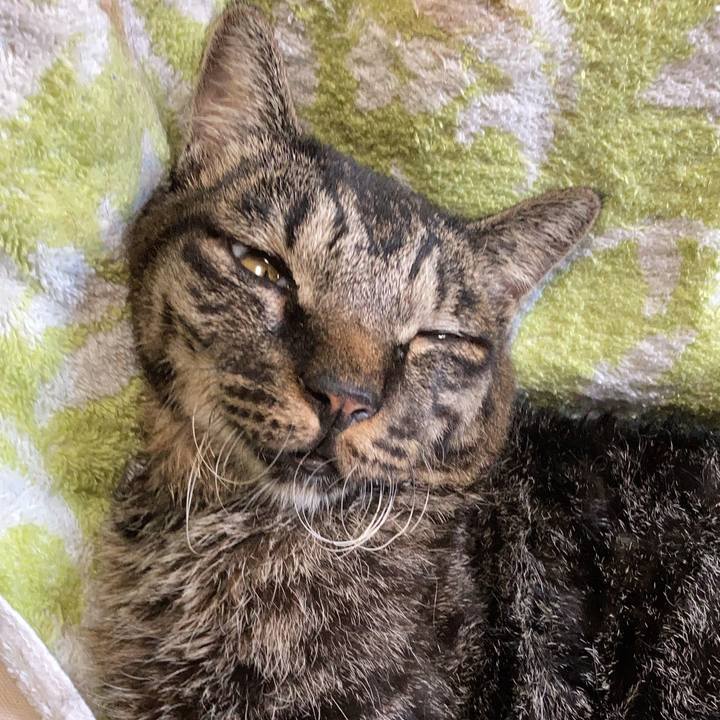 Caa1a9d4 5e29 438d 83cf 292837f11125 1661559410842