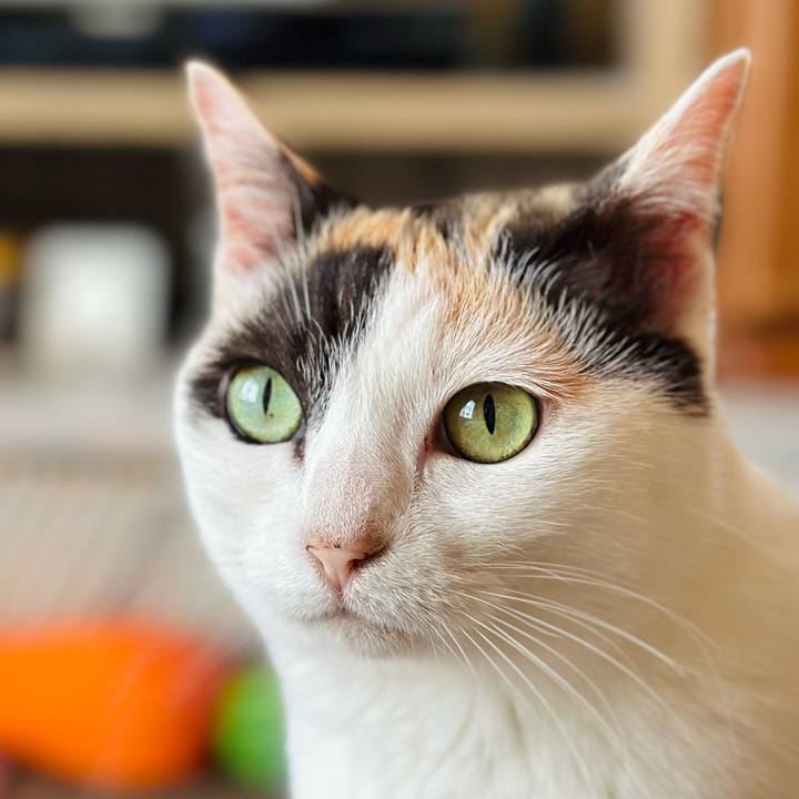 Caa1d282 20b7 4e0e 83ea 8acf2430b96f 1717463497102