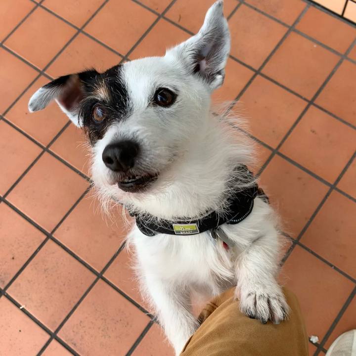 Caa1db6a fda8 43f4 924a 0ca74652d155 1717486903726