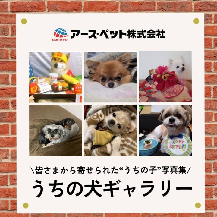 Caa1fb9c addd 4939 9cb6 692051a78d68 1710217409881