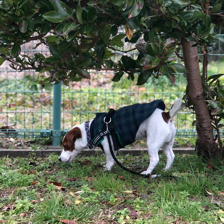 Caa22cee 1c4a 4fb7 a83f a7c49de16e88 1549180894885