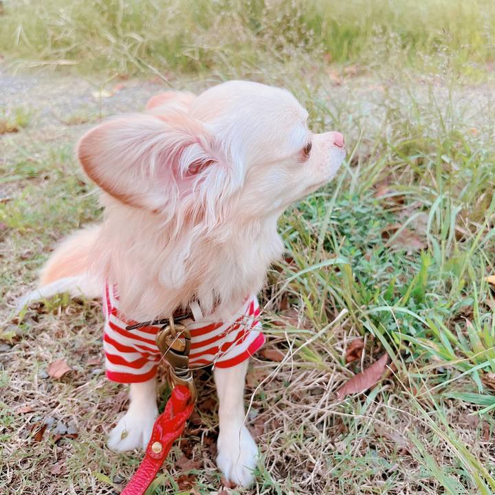 Caa24f51 7ab1 4464 9b3a 053b7b40ebdd 1664268294836