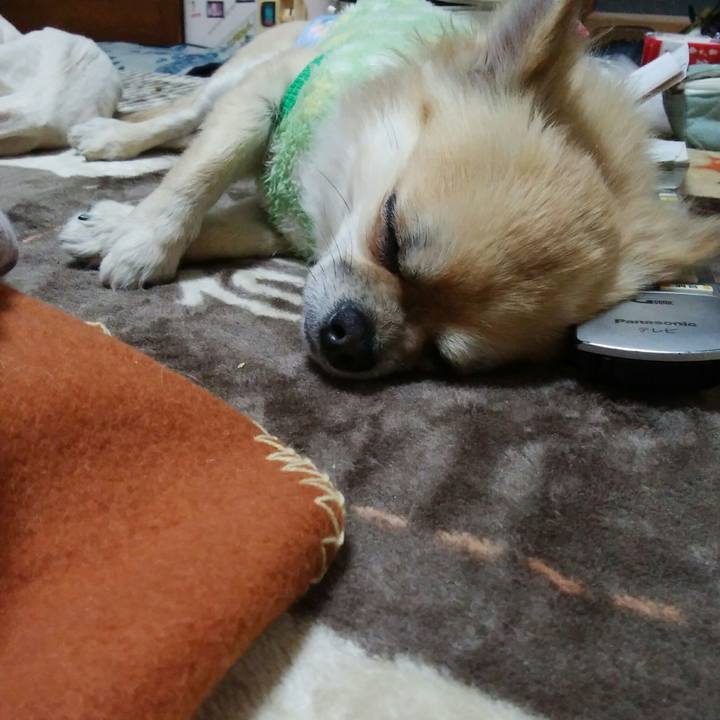 Caa27e1e fed6 43f9 984b 46a5200f889d 1513856152706