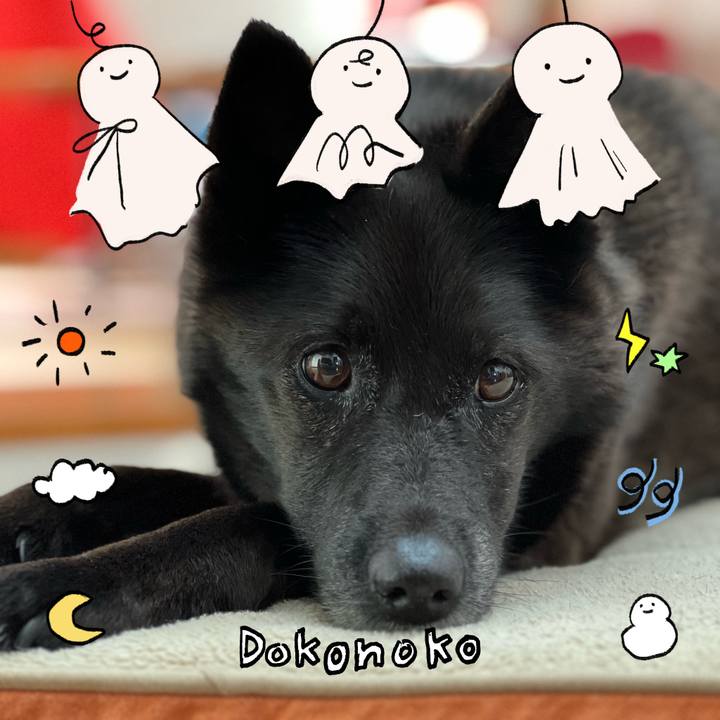 Caa2855a 0eb7 456c 93eb 106cf7622eaf 1749567976564