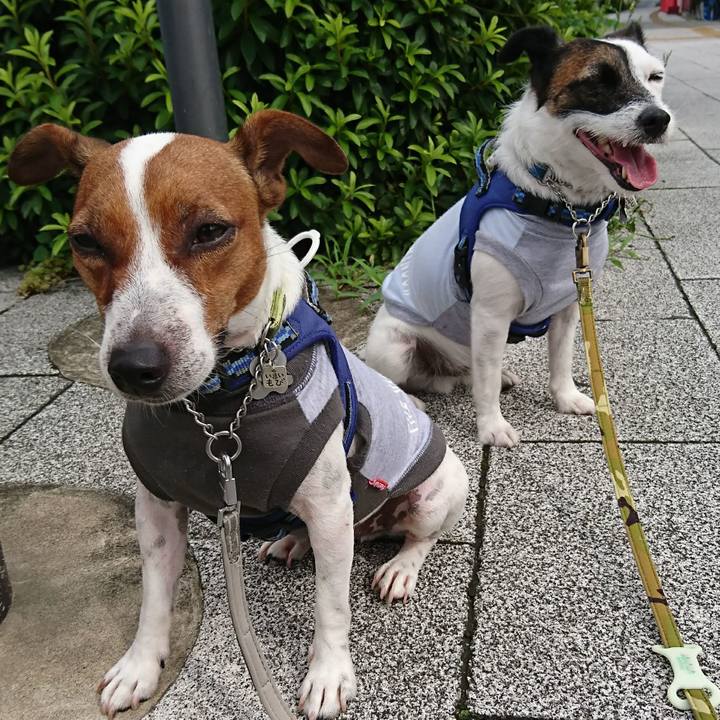 Caa2912e 6a7a 4914 ba30 ac8b8d1e1419 1594510490577