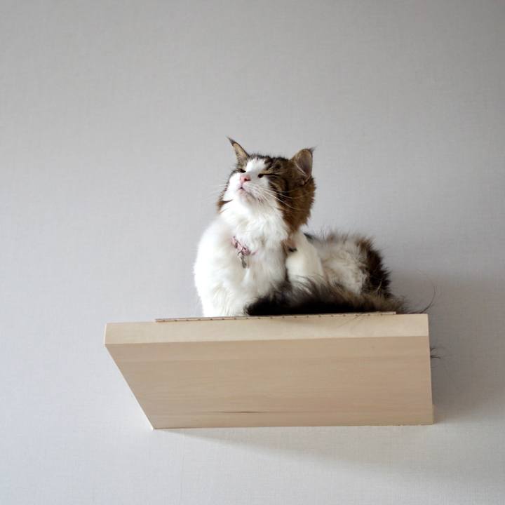 Caa2dbcb 2518 41f0 890f a223fd91d12a 1575257992770