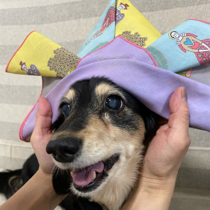 Caa2e408 2291 48e2 9687 489d8481de8c 1651849573390