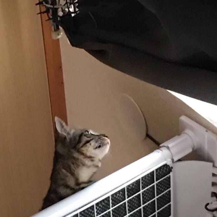 Caa2ed2d 413d 427f 935a 199380fd17b0 1541118430012