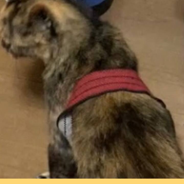 Caa36ac6 8d97 4e65 8851 3c0685a687dc 1735156290352