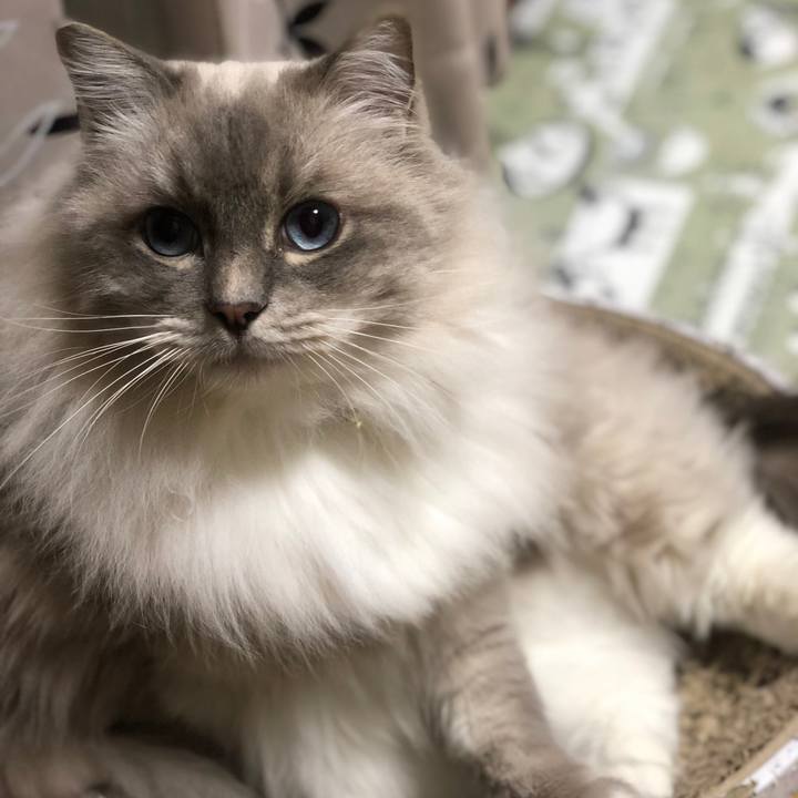 Caa3ad2a bd74 4c08 982b 538ae32ef73a 1544189808440