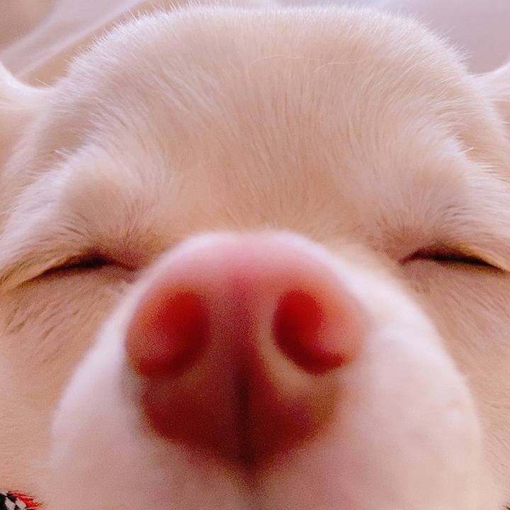 Caa3bfbc a86e 494c b745 5e7d2da46a42 1627371505229