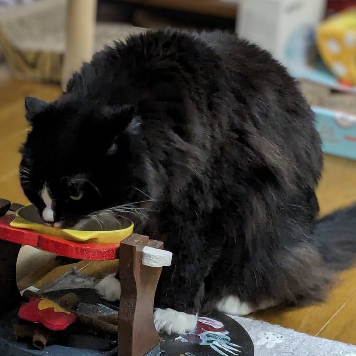 Caa3cc9c 13a3 439b 950f c948cd4da6c3 1710232876371