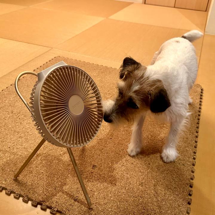 Caa4103e ce26 4444 af1f 7a3101692f5b 1692282613246