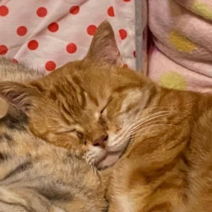 Caa428bb af46 47d1 8274 b037a10c3b5b 1620662955439