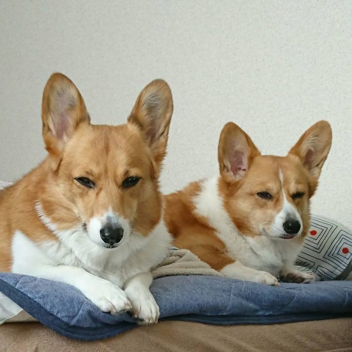 Caa42a82 aec2 40da bdc8 6394c136c58c 1514860705731