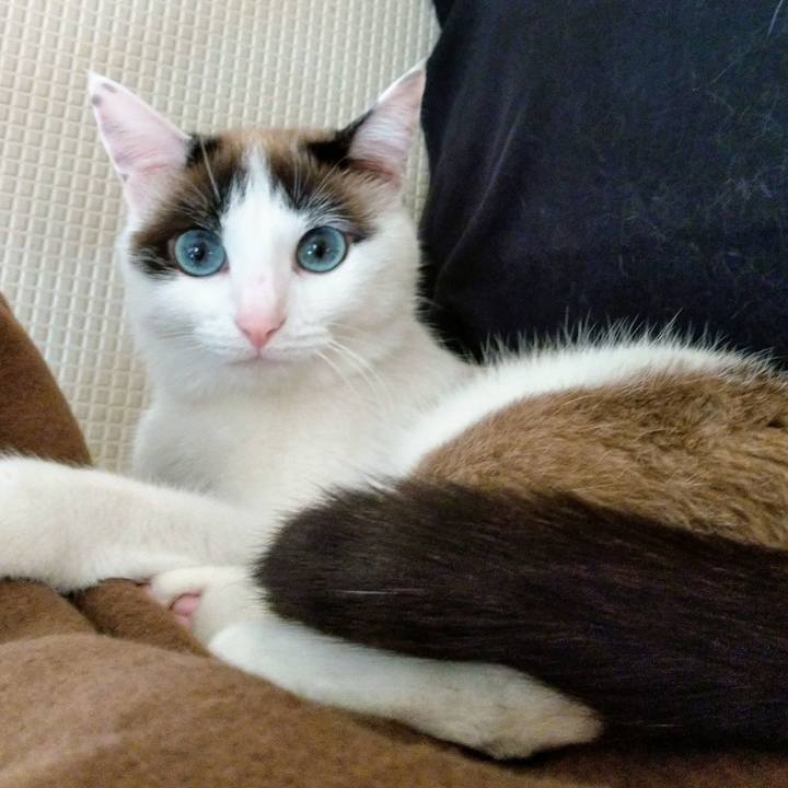 Caa435c6 5af0 4f6a acd1 4f9cbbb04d89 1550706612506