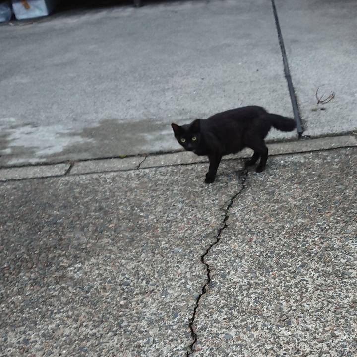 Caa48104 5d41 4cd5 a8b5 1424cc60a9bd 1561369139080