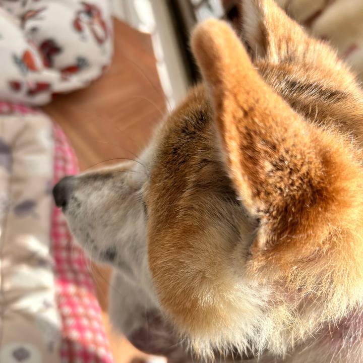 Caa4a754 f61c 443b 969f 944a16883e1d 1763269635865