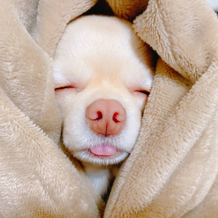 Caa4b023 3ec2 4491 b3da b4ea3118b036 1642391355243