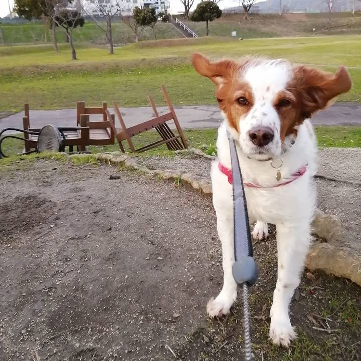 Caa4b5ac fd1f 45b5 aec2 8bbd9568e484 1578483403693