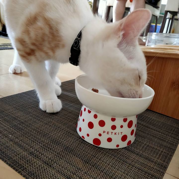 Caa4ba50 b1c9 4fbd b474 ea4ccb9c613d 1628464927409