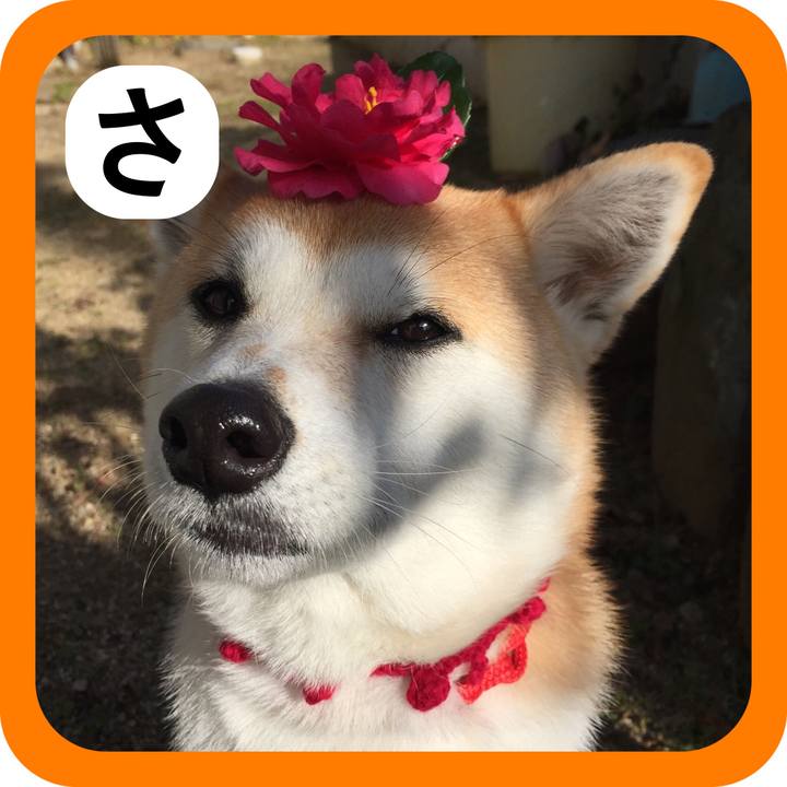 Caa4d474 f1ec 4500 b06e 43be552968ca 1514798404887