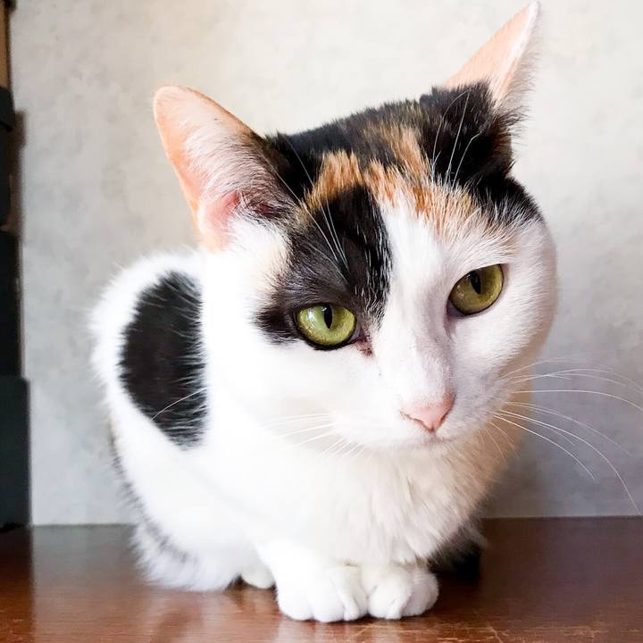 Caa4e806 ce60 4ac6 9e57 f9965d40b528 1524620158633