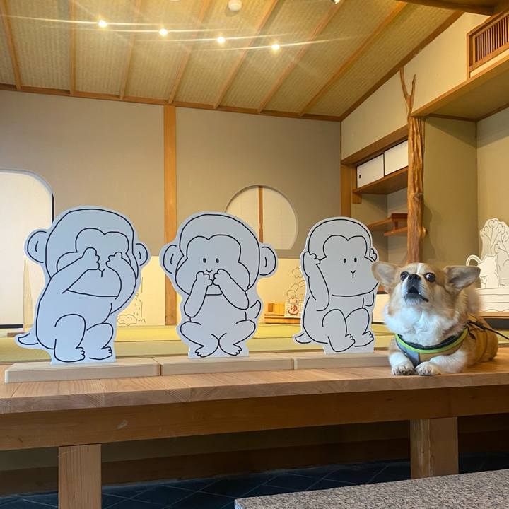 Caa4eeb6 0fc5 4d10 be3a bde19391e325 1745911864724