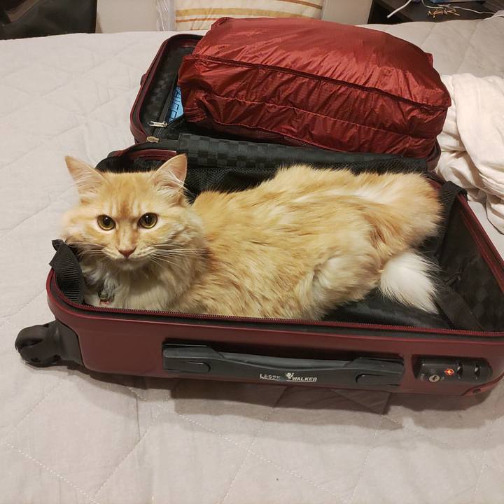 Caa4fdbb b38f 4a12 b8da 8376e1f81e72 1689856893210