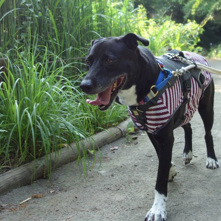 Caa51241 fced 4249 a02c 61720687894d 1656718067322