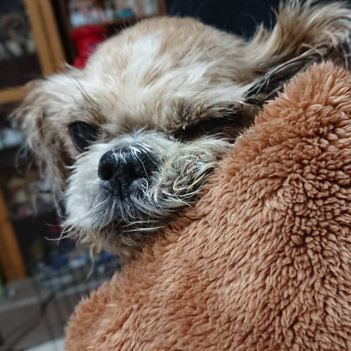 Caa5275c 4580 4e77 8a48 fc4b70a27959 1534696726859