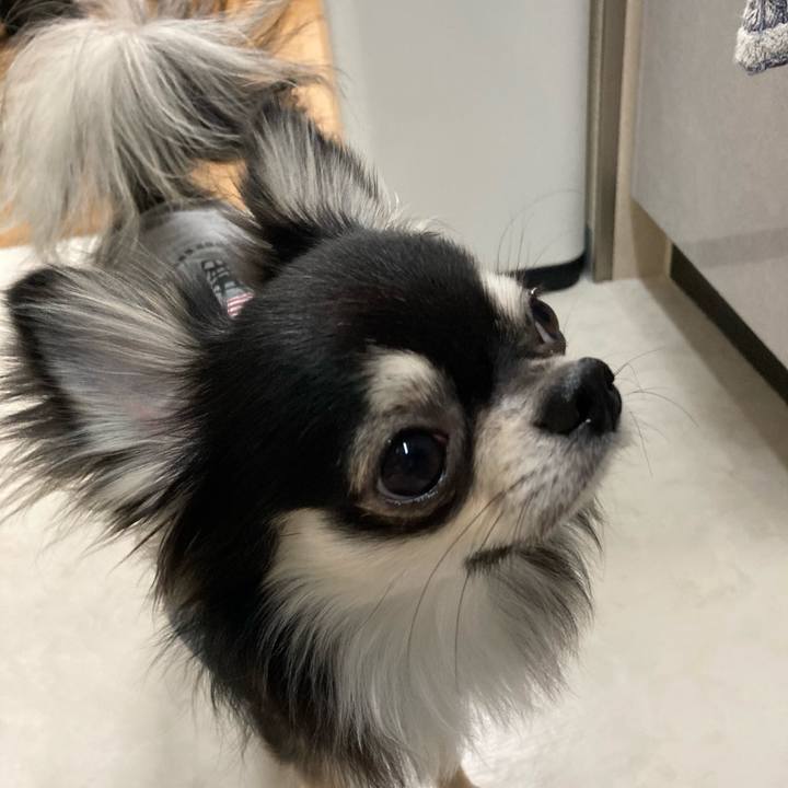 Caa528b2 c0cc 461c 82f3 b464f45dd122 1612707250659