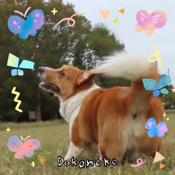 Caa5343d 3d3e 419b a9a2 391a9fccd2ae 1711247605824