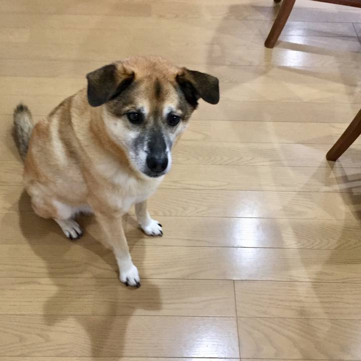 Caa5d06e 750f 4ce4 a9da 3c7c867f2de0 1547885151176