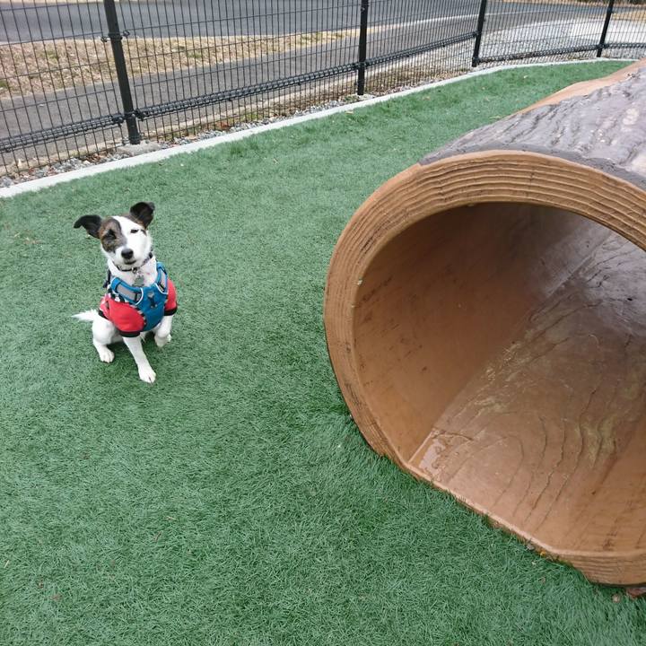 Caa62f8e 636d 486c b5a5 9f725b312f97 1519517301170