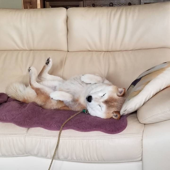 Caa64d11 9d04 43a3 b77a 87c0f47df0e8 1720216677324