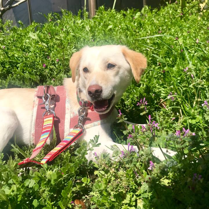 Caa6d836 c515 4769 84ac 39cccb3e6b6c 1522564551588