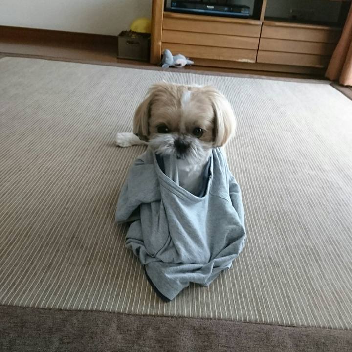 Caa6f836 1591 43cf aebd e9c8c787e206 1560901674497