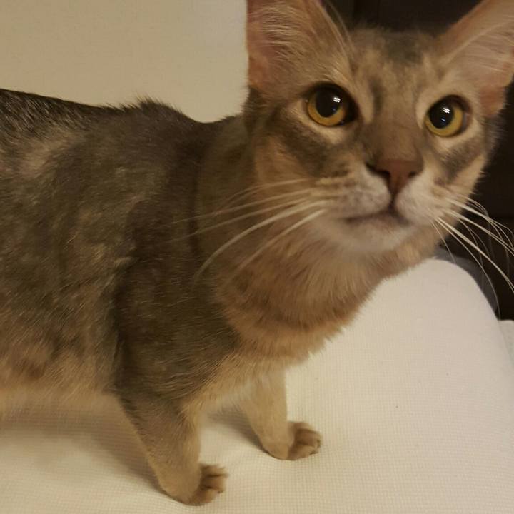 Caa708e7 bd97 405a 919a 9ff702e8f8c4 1535716709726