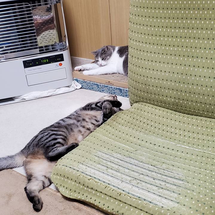 Caa7459b 5c1b 4163 b3f4 228e5c4bdb98 1721367715220