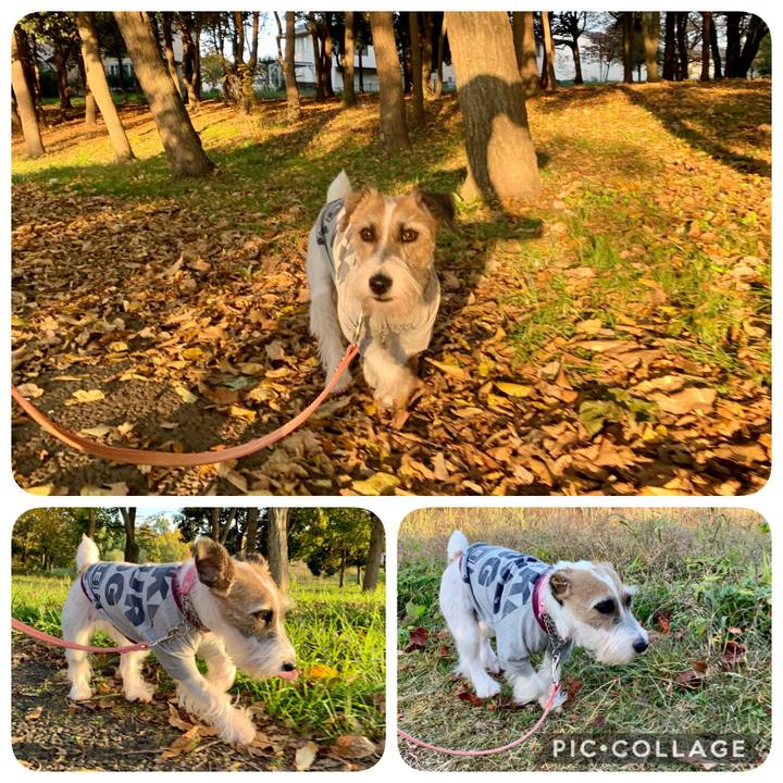 Caa78b89 1c1d 41d2 86ba c6c03086653a 1605528434883