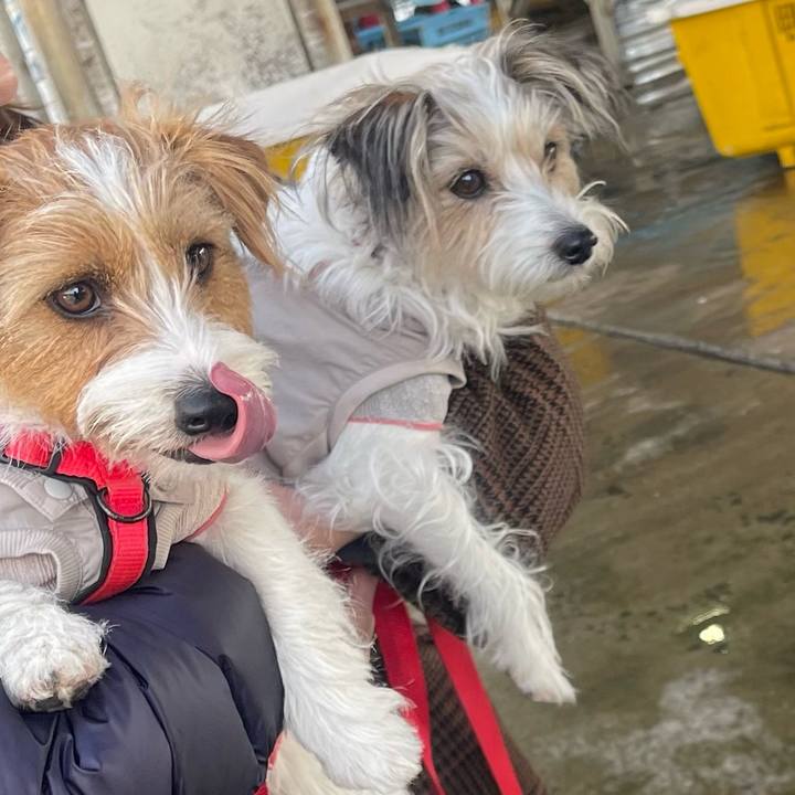 Caa798c8 ef48 4cd5 94e3 eca597b2ba24 1770900453451