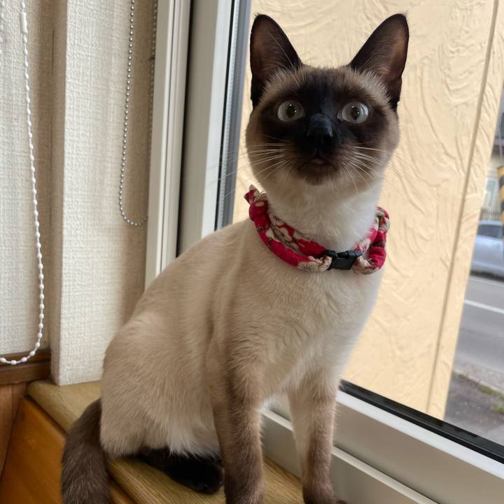 Caa7a18c 4912 46db 900f 4ebea58b2b84 1708391704626