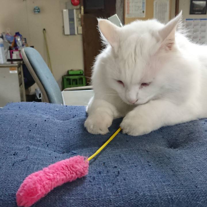 Caa7a64b 74cb 44d0 a1c7 67c5f9cd907f 1534804153026