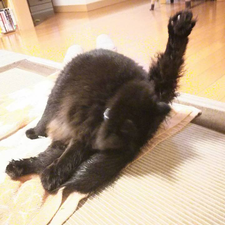 Caa7d363 2c00 4e59 85f5 8ee871b53d66 1532343588828