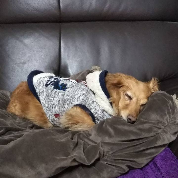 Caa821e6 6a2b 4027 a563 cdb404709d8c 1578918837501