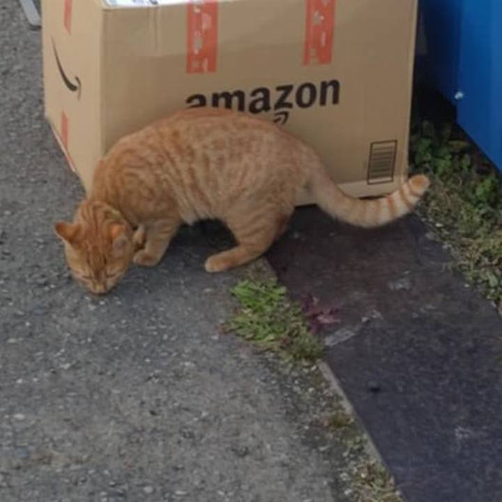 Caa82c8b 5180 4fde 9140 efd151e71f3d 1733207375935